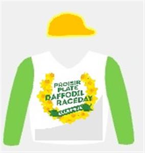 Daffodil Day
