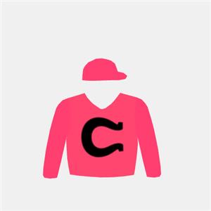 Pink, black horseshoe & pink cap