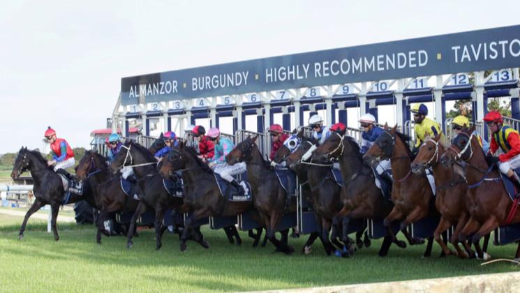 TAB Racing Club a new player in racehorse ownership