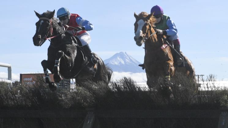 NZTR Outline Next Steps in Future of NZ Jumps Review