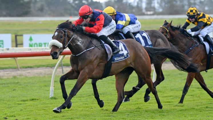 Transcend delivers for TAB Racing Club