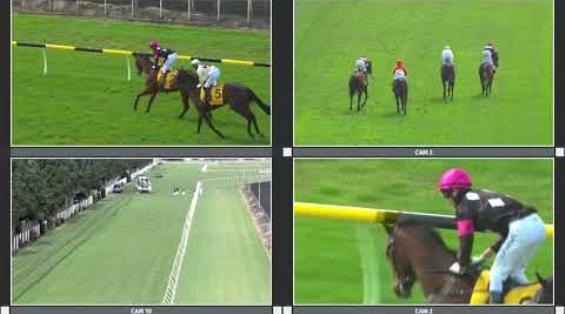 View video › View video ›