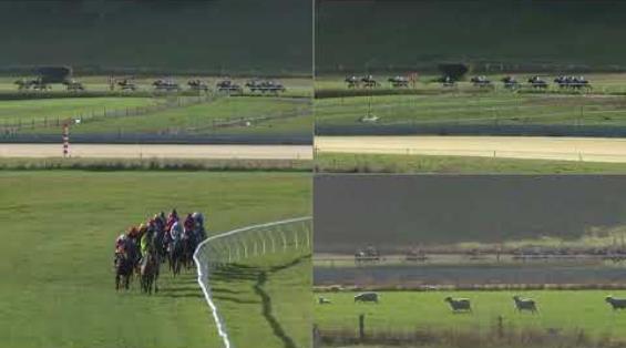 View video › View video ›