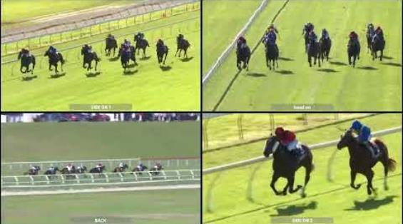 View video › View video ›