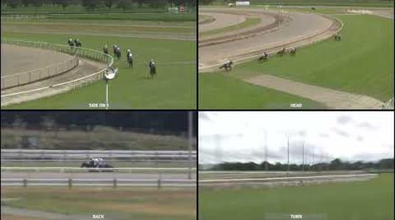 View video › View video ›