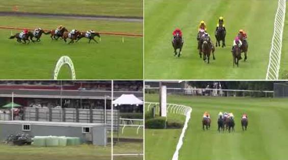 View video › View video ›