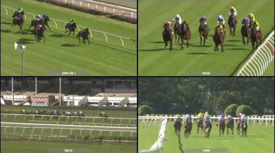 View video › View video ›