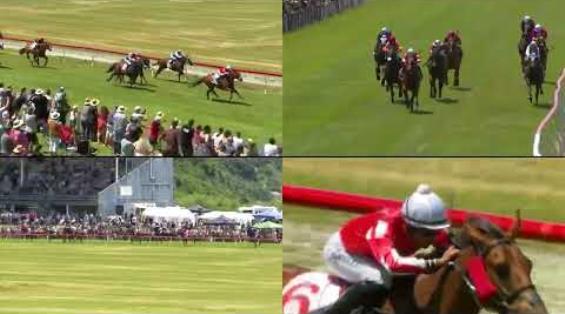 View video › View video ›