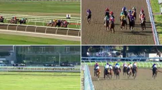 View video › View video ›