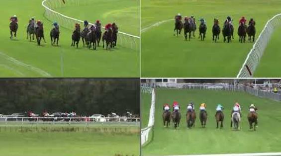 View video › View video ›