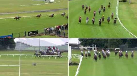 View video › View video ›