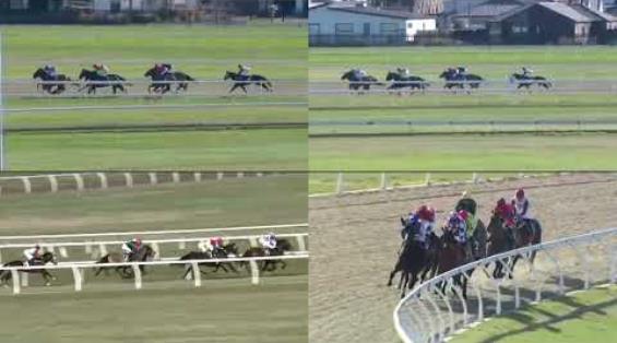 View video › View video ›