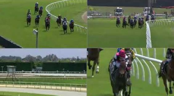 View video › View video ›