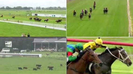 View video › View video ›