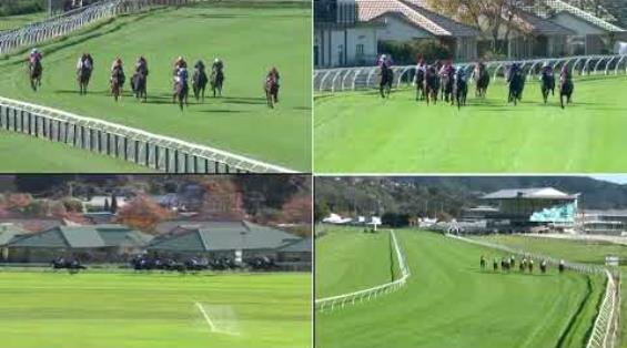 View video › View video ›