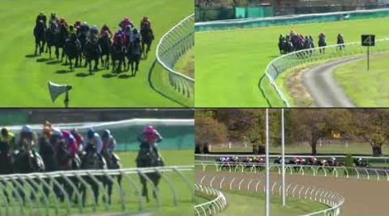 View video › View video ›