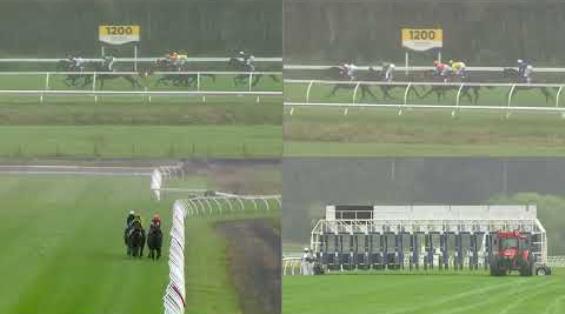 View video › View video ›