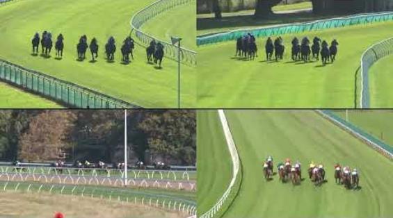 View video › View video ›