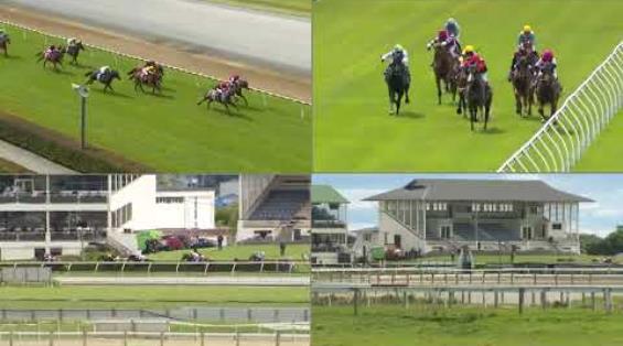 View video › View video ›