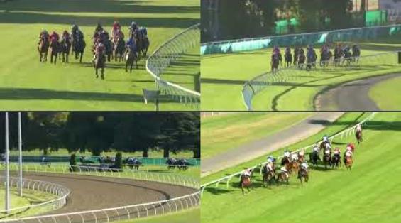 View video › View video ›