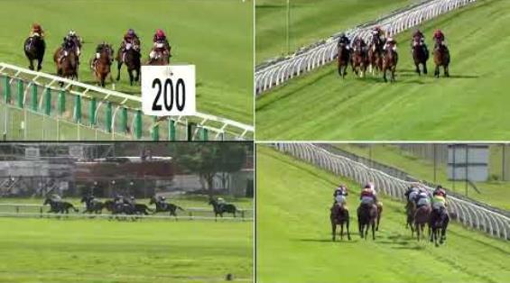 View video › View video ›