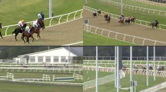 View video › View video ›