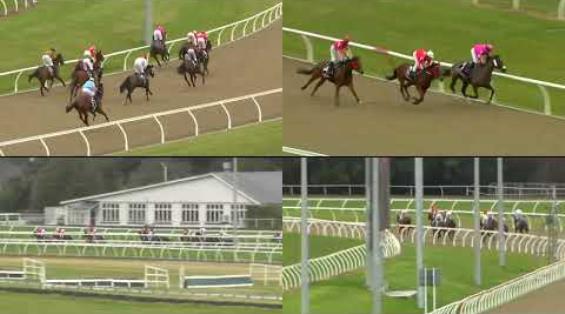 View video › View video ›