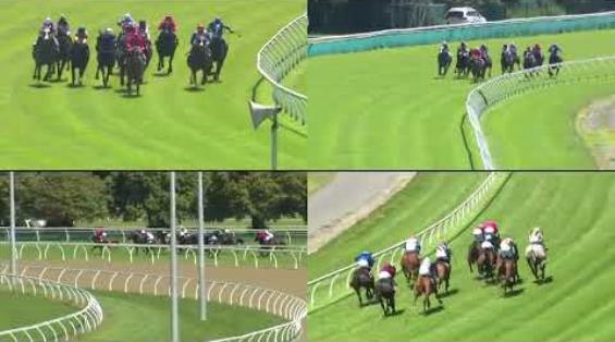 View video › View video ›