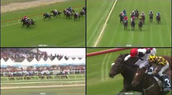 View video › View video ›