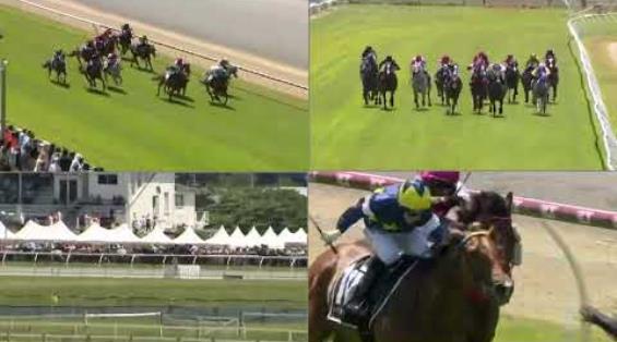 View video › View video ›