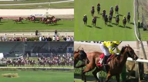 View video › View video ›