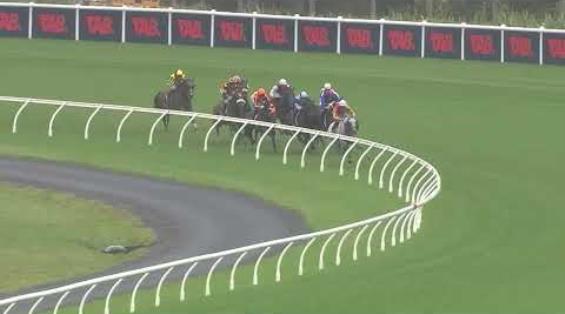 View video › View video ›