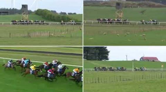 View video › View video ›