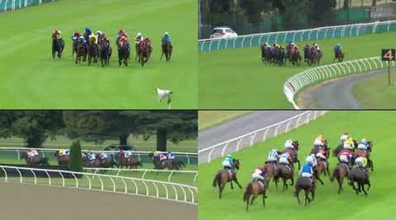 View video › View video ›