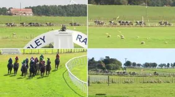 View video › View video ›