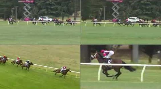 View video › View video ›