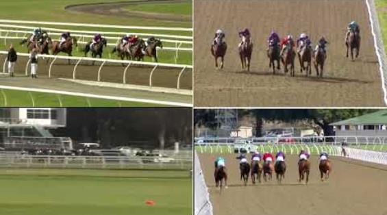 View video › View video ›