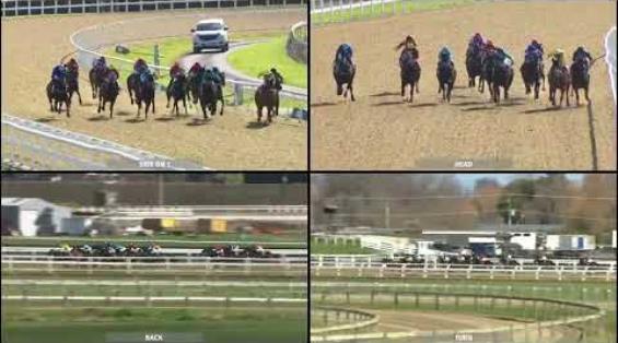 View video › View video ›