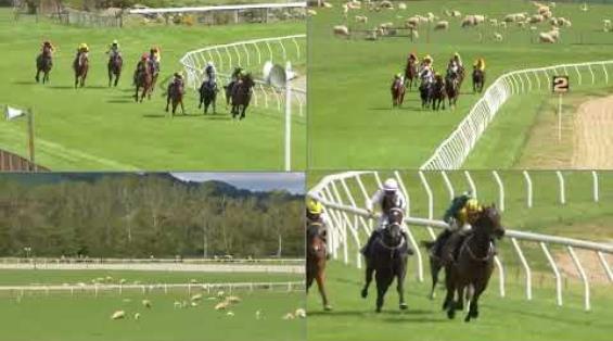 View video › View video ›