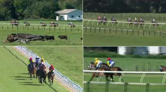 View video › View video ›