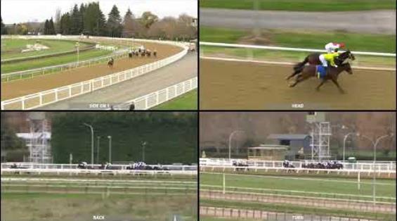 View video › View video ›