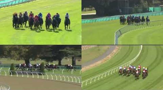 View video › View video ›