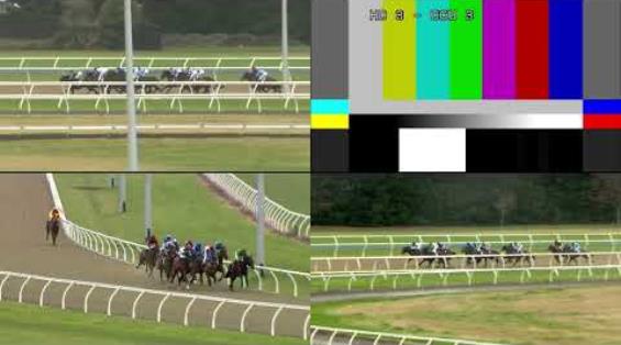 View video › View video ›