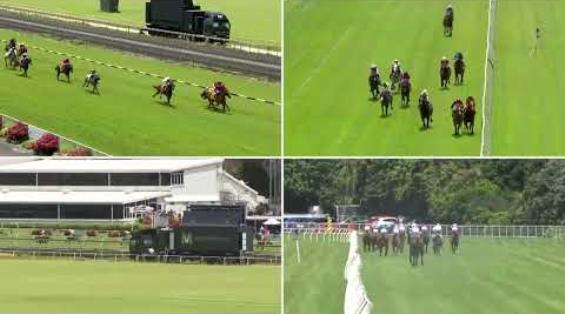 View video › View video ›