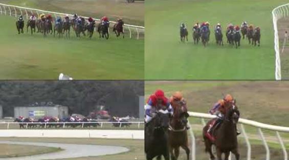 View video › View video ›