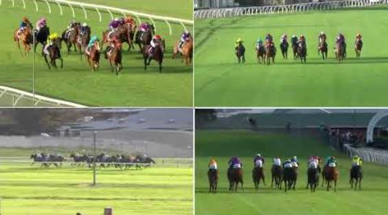 View video › View video ›