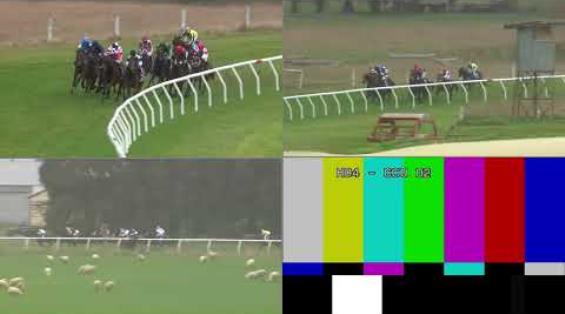 View video › View video ›