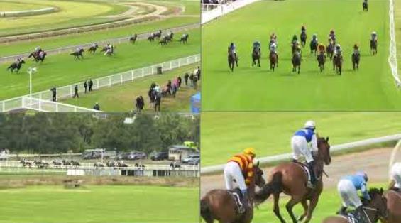 View video › View video ›