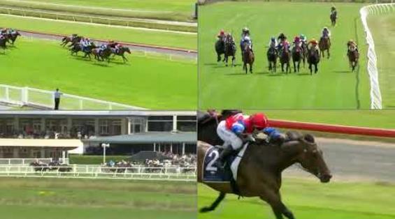 View video › View video ›