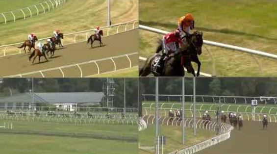 View video › View video ›